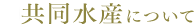 共同水産について