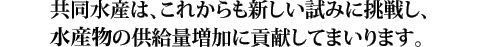 共同水産は、これからも新しい試みに挑戦し、水産物の供給量増加に貢献してまいります。