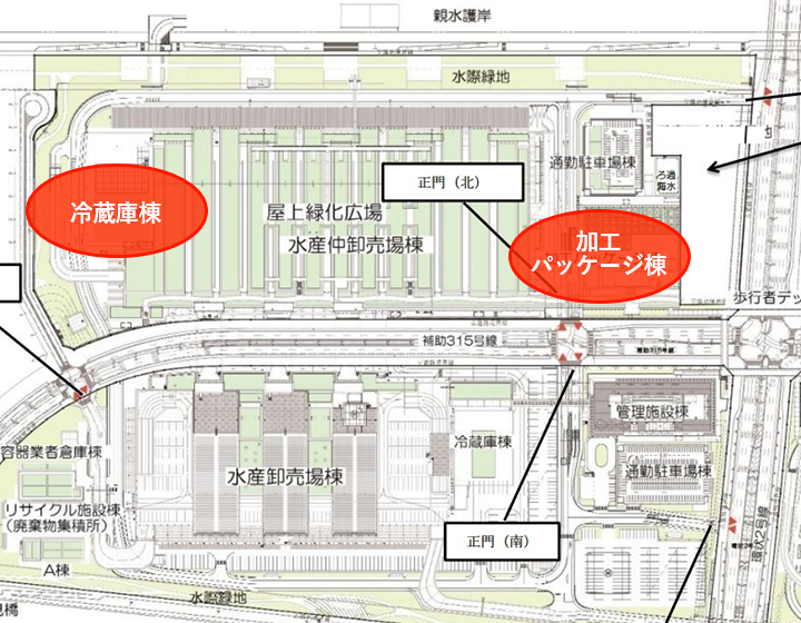 豊洲市場見取り図