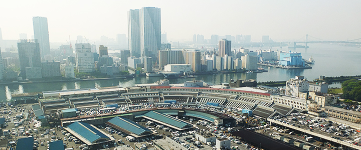 東京中央卸売市場